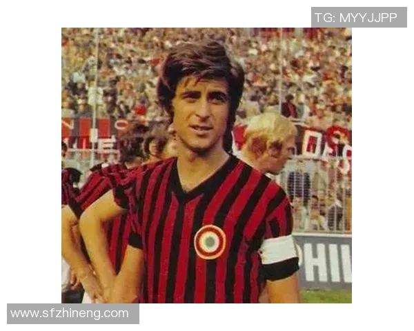 内姓足球明星的传奇故事与辉煌成就探秘