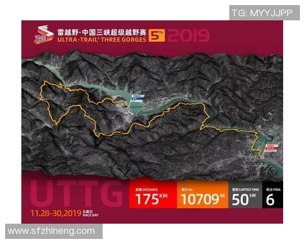 深圳足球队逆袭之路的真实故事与奋斗历程全景回顾