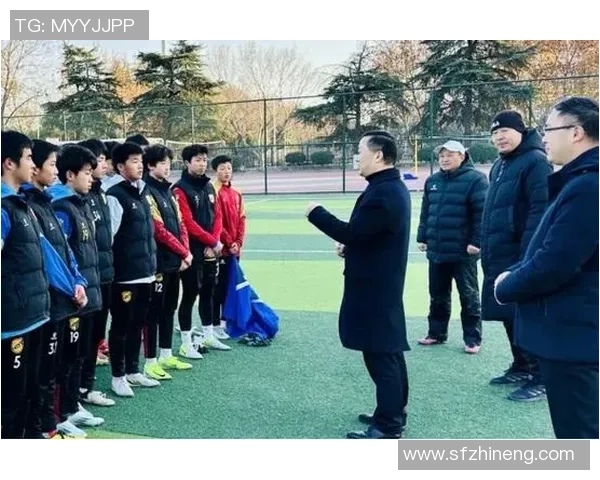 南京足球队逆袭全国锦标赛的辉煌历程与背后故事揭秘