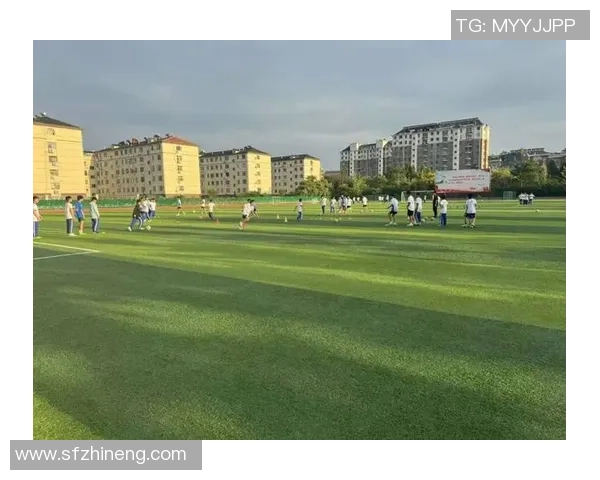 探索td足球的魅力与激情，带你领略全球足球文化的独特风采与精彩瞬间