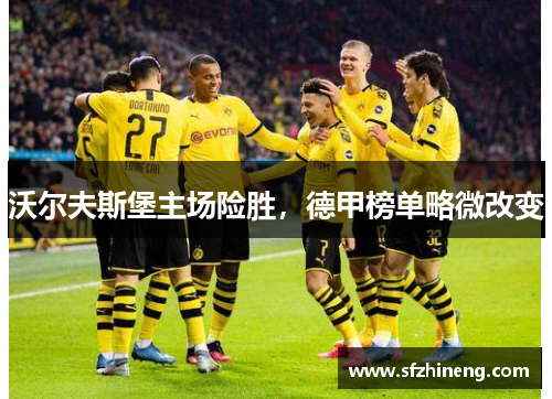 沃尔夫斯堡主场险胜，德甲榜单略微改变