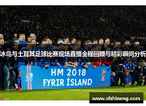 冰岛与土耳其足球比赛现场直播全程回顾与精彩瞬间分析