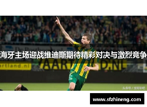 海牙主场迎战维迪斯期待精彩对决与激烈竞争